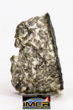 08902 - Fragment 1.496 g NWA Monomict Eucrite Achondrite with Fresh Fusion Crust Meteorite