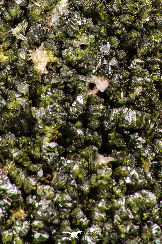 07811 - Slender Grass Green Epidote Crystals on Matrix Imilchil Mine Morocco