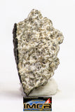 08903 - Fragment 1.541 g NWA Monomict Eucrite Achondrite with Fresh Fusion Crust Meteorite