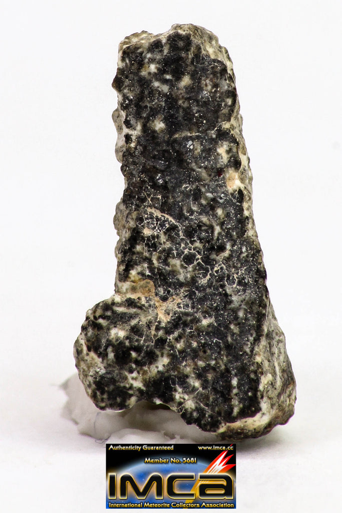 08904 - Fragment 1.539 g NWA Monomict Eucrite Achondrite with Fresh Fusion Crust Meteorite