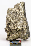 08904 - Fragment 1.539 g NWA Monomict Eucrite Achondrite with Fresh Fusion Crust Meteorite