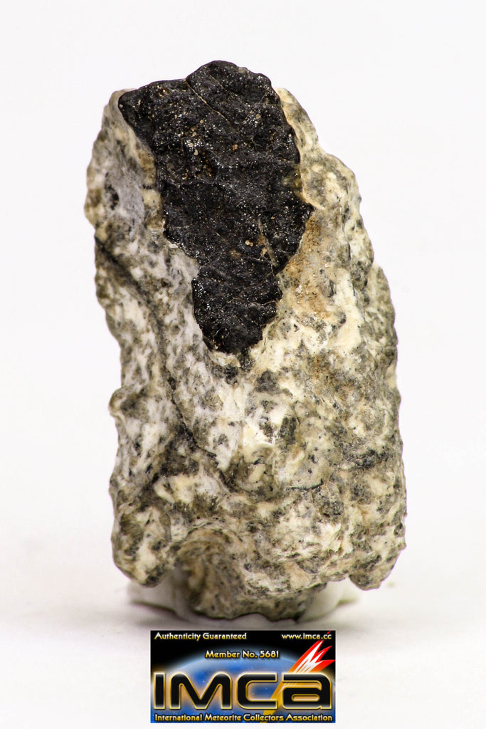 08905 - Fragment 2.274 g NWA Monomict Eucrite Achondrite with Fresh Fusion Crust Meteorite