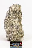 08905 - Fragment 2.274 g NWA Monomict Eucrite Achondrite with Fresh Fusion Crust Meteorite