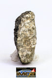 08906 - Fragment 1.234 g NWA Monomict Eucrite Achondrite with Fresh Fusion Crust Meteorite