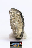 08906 - Fragment 1.234 g NWA Monomict Eucrite Achondrite with Fresh Fusion Crust Meteorite