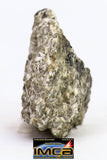 08908 - Fragment 2.119 g NWA Monomict Eucrite Achondrite with Fresh Fusion Crust Meteorite