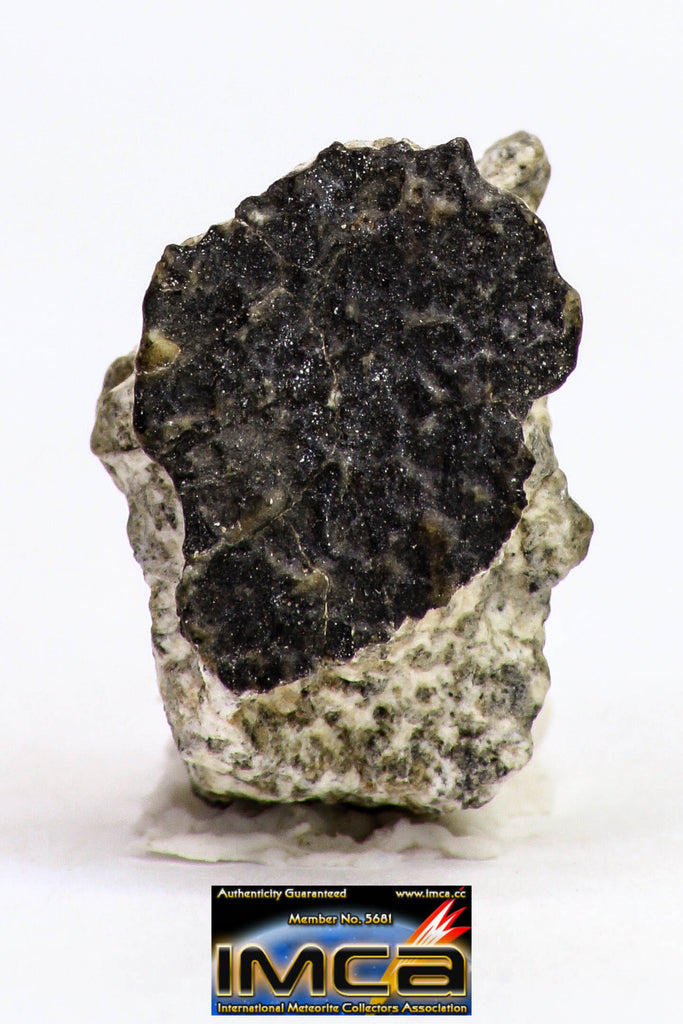 08909 - Fragment 1.279 g NWA Monomict Eucrite Achondrite with Fresh Fusion Crust Meteorite