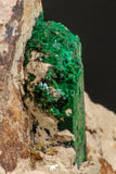 07816 - Beautiful Azurite + Malachite Crystals on Carbonate Matrix - Kerrouchen (Morocco)