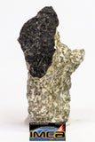 08910 - Fragment 2.267 g NWA Monomict Eucrite Achondrite with Fresh Fusion Crust Meteorite