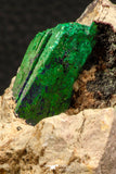 07816 - Beautiful Azurite + Malachite Crystals on Carbonate Matrix - Kerrouchen (Morocco)