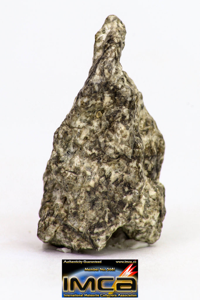 08911 - Fragment 2.679 g NWA Monomict Eucrite Achondrite Meteorite