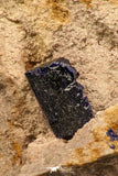 07817 - Beautiful Deep Blue Azurite Crystals on Carbonate Matrix - Kerrouchen (Morocco)