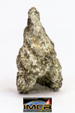 08911 - Fragment 2.679 g NWA Monomict Eucrite Achondrite Meteorite