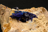 07817 - Beautiful Deep Blue Azurite Crystals on Carbonate Matrix - Kerrouchen (Morocco)