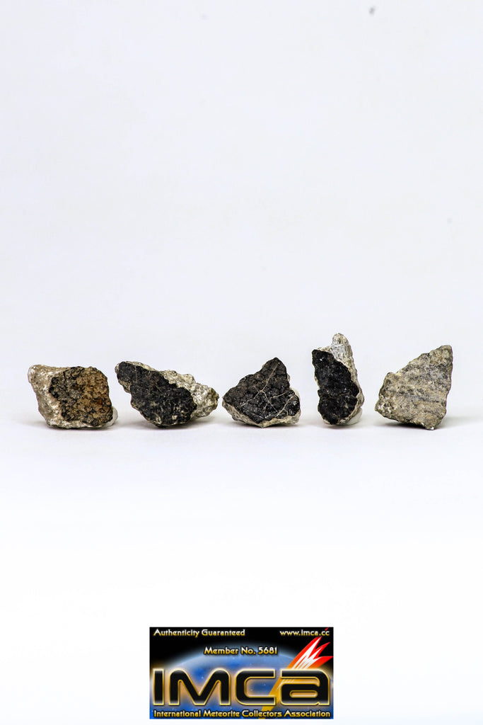 08913 - Fragments 6.954 g NWA Monomict Eucrite Achondrite with Fresh Fusion Crust Meteorites