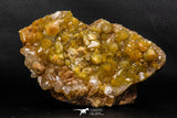 07719 - Top Beautiful 6.46 Inch Natural Quartz Crystals (hematoide variety) Jbel Saghro Mines
