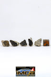 08913 - Fragments 6.954 g NWA Monomict Eucrite Achondrite with Fresh Fusion Crust Meteorites