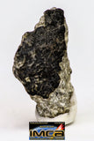 08913 - Fragments 6.954 g NWA Monomict Eucrite Achondrite with Fresh Fusion Crust Meteorites