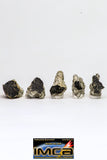 08914 - Fragments 7.079 g NWA Monomict Eucrite Achondrite with Fresh Fusion Crust Meteorites