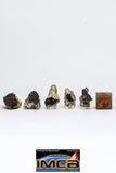 08914 - Fragments 7.079 g NWA Monomict Eucrite Achondrite with Fresh Fusion Crust Meteorites