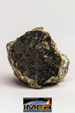08914 - Fragments 7.079 g NWA Monomict Eucrite Achondrite with Fresh Fusion Crust Meteorites