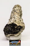 08914 - Fragments 7.079 g NWA Monomict Eucrite Achondrite with Fresh Fusion Crust Meteorites