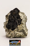 08916- Fragments 3.268 g NWA Monomict Eucrite Achondrite with Fresh Fusion Crust Meteorites