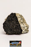 08916- Fragments 3.268 g NWA Monomict Eucrite Achondrite with Fresh Fusion Crust Meteorites
