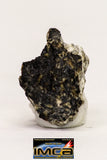 08916- Fragments 3.268 g NWA Monomict Eucrite Achondrite with Fresh Fusion Crust Meteorites