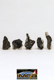 08917- Fragments 3.010 g NWA Monomict Eucrite Achondrite with Fresh Fusion Crust Meteorites