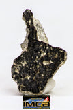 08917- Fragments 3.010 g NWA Monomict Eucrite Achondrite with Fresh Fusion Crust Meteorites