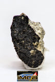 08917- Fragments 3.010 g NWA Monomict Eucrite Achondrite with Fresh Fusion Crust Meteorites
