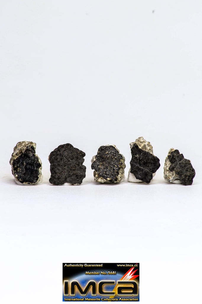 08918- Fragments 2.585 g NWA Monomict Eucrite Achondrite with Fresh Fusion Crust Meteorites