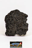 08918- Fragments 2.585 g NWA Monomict Eucrite Achondrite with Fresh Fusion Crust Meteorites