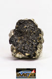 08918- Fragments 2.585 g NWA Monomict Eucrite Achondrite with Fresh Fusion Crust Meteorites