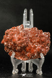 07727 - Top Beautiful 4.13 Inch Natural Quartz Crystals (hematoide variety) Jbel Saghro Mines