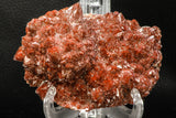 07727 - Top Beautiful 4.13 Inch Natural Quartz Crystals (hematoide variety) Jbel Saghro Mines