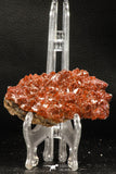 07728 - Top Beautiful 3.50 Inch Natural Quartz Crystals (hematoide variety) Jbel Saghro Mines
