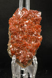 07728 - Top Beautiful 3.50 Inch Natural Quartz Crystals (hematoide variety) Jbel Saghro Mines