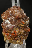 07729 - Top Beautiful 3.09 Inch Natural Quartz Crystals (hematoide variety) Jbel Saghro Mines