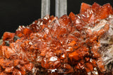 07730 - Top Beautiful 3.80 Inch Natural Quartz Crystals (hematoide variety) Jbel Saghro Mines