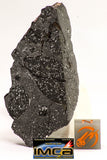 08926 -Top Rare NWA IMB Impact Melt Breccia Chondrite Meteorite Polished Section 29.1 g