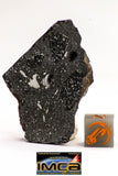 08927 -Top Rare NWA IMB Impact Melt Breccia Chondrite Meteorite Polished Section 21.8 g