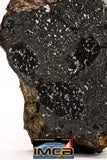 08927 -Top Rare NWA IMB Impact Melt Breccia Chondrite Meteorite Polished Section 21.8 g
