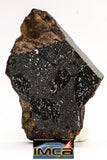 08927 -Top Rare NWA IMB Impact Melt Breccia Chondrite Meteorite Polished Section 21.8 g