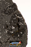 08929 -Top Rare NWA IMB Impact Melt Breccia Chondrite Meteorite Polished Section 13.6 g