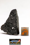08930 -Top Rare NWA IMB Impact Melt Breccia Chondrite Meteorite Polished Section 10.6 g
