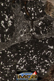08930 -Top Rare NWA IMB Impact Melt Breccia Chondrite Meteorite Polished Section 10.6 g