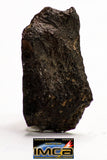 08932 -Top Rare NWA IMB Impact Melt Breccia Chondrite Meteorite Polished Section 1.83 g