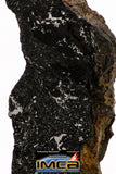08933 -Top Rare NWA IMB Impact Melt Breccia Chondrite Meteorite Polished Section 1.64 g